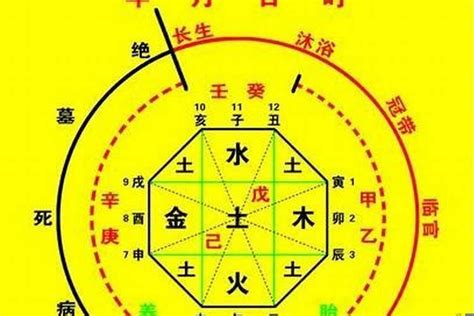 八字無水|解读八字五行之水，喜用为水的命局应如何补？